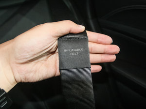 2016EcoBoost 325 V6 Ş g