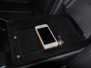 2016EcoBoost 325 V6 Ş g