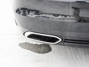 2016EcoBoost 245 r ^