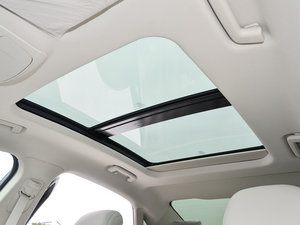 2016EcoBoost 245 r(sh) g