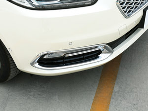 2017EcoBoost 325 V6 LTD (ji)^