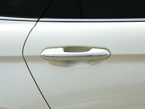 2017EcoBoost 325 V6 LTD (ji)^