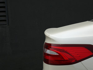 2017EcoBoost 325 V6 LTD (ji)^