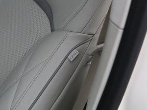 2017EcoBoost 325 V6 LTD g