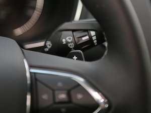 2017EcoBoost 325 V6 LTD п؅^(q)