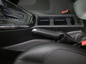 2015 EcoBoost 125 Ԅ(dng)L(fng) v܇(ch)Ƅ(dng)