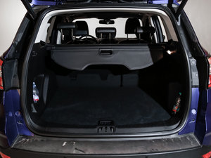 2017EcoBoost 245 (q)\ g