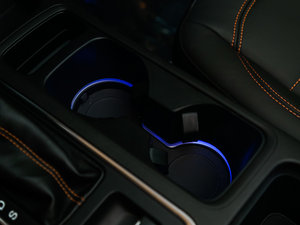 2017EcoBoost 245 (q)\ g