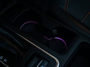 2017EcoBoost 245 (q)\ g