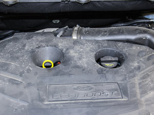 2016EcoBoost 245 Ş 7 