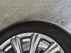 2017EcoBoost 180 (q) ݆̥Ʒ