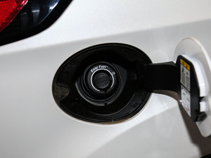 2017EcoBoost 180 򌻢S ^