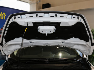 2017EcoBoost 180 򌻢S 