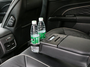 2017EcoBoost 245Ş g