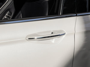 2017EcoBoost 245Ş (ji)^