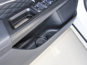 2017EcoBoost 245Ş g