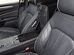 2017EcoBoost 245Ş g