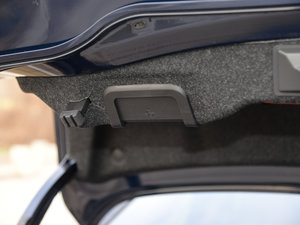 2017EcoBoost 245Ş g