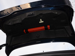 2017EcoBoost 245Ş g