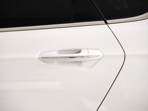 2017EcoBoost 200r (ji)^