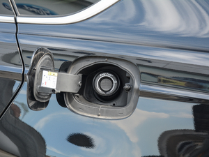 2017EcoBoost 245Ş w