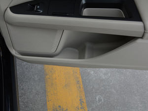 2017EcoBoost 245Ş g