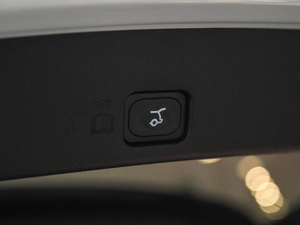 2018EcoBoost 245 J 7 g