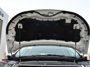 2018EcoBoost 245 (q)J 5 (gu)V 