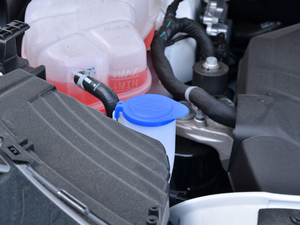 2018EcoBoost 245 (q)J 5 (gu)V 