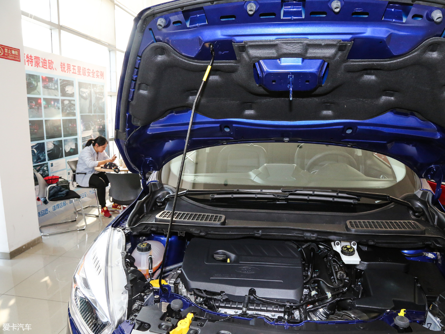 2018 EcoBoost 180 (q)