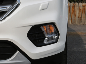 2018款EcoBoost 245 四驱豪翼型 前雾灯