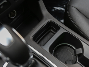 2018EcoBoost 245 (q) g