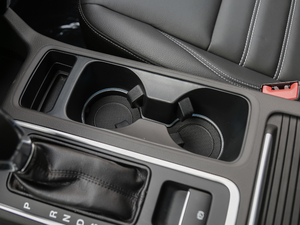 2018EcoBoost 245 (q) g