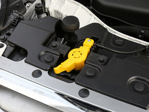 2018款EcoBoost 245 四驱豪翼型 其它