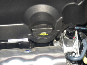 2018(jng) EcoBoost 125ք(dng)L(fng)а Ɏ 