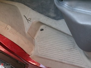 20091.0L (bio)(zhn) g