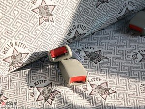 20091.0L (bio)(zhn) g