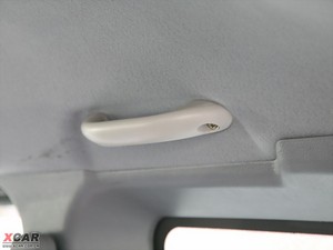 20101.3L (bio)(zhn) g