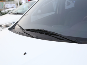 2018��EV 300 ��ˢ