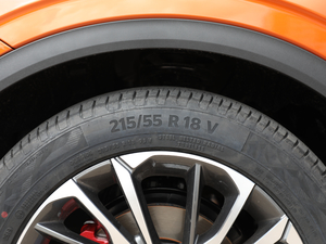 2019\ӿ 260T DCT Battle V ݆̥ߴ