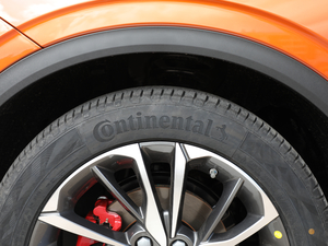 2019\ӿ 260T DCT Battle V ݆̥Ʒ