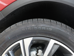 2019260T DCTTʿ V ݆̥ߴ