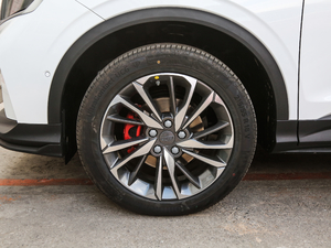 2019\ӿ 260T DCT Battle V ^