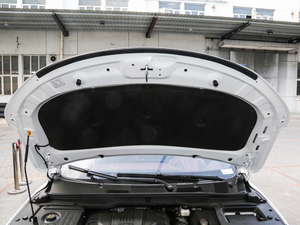 2019\ӿ 260T DCT Battle V 