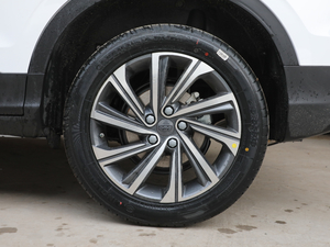 2019260T DCT΂b V ݆Ȧ