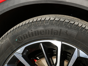 2019\ӿ 260T DCT Battle V ݆̥Ʒ