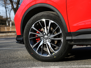 2019\ӿ 260T DCT Battle V (ji)^