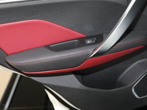 2019\ӿ 260T DCT Battle VI g