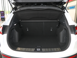 2019\ӿ 260T DCT Battle VI g