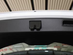 2019\ӿ 260T DCT Battle VI g